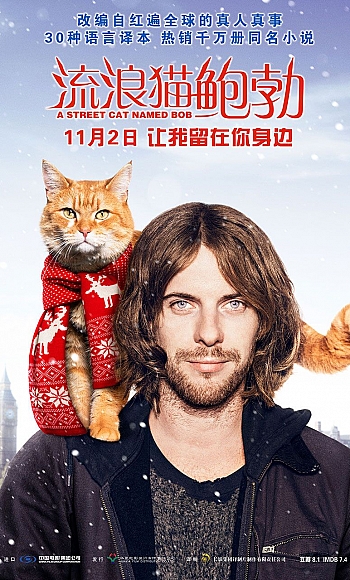 【60帧】4K流浪猫鲍勃 A Street Cat Named Bob (2016)