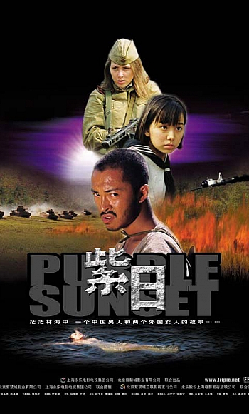 【4K】60帧/紫日 (2001)推荐/豆瓣8.4分,最好的国产战争电影之一