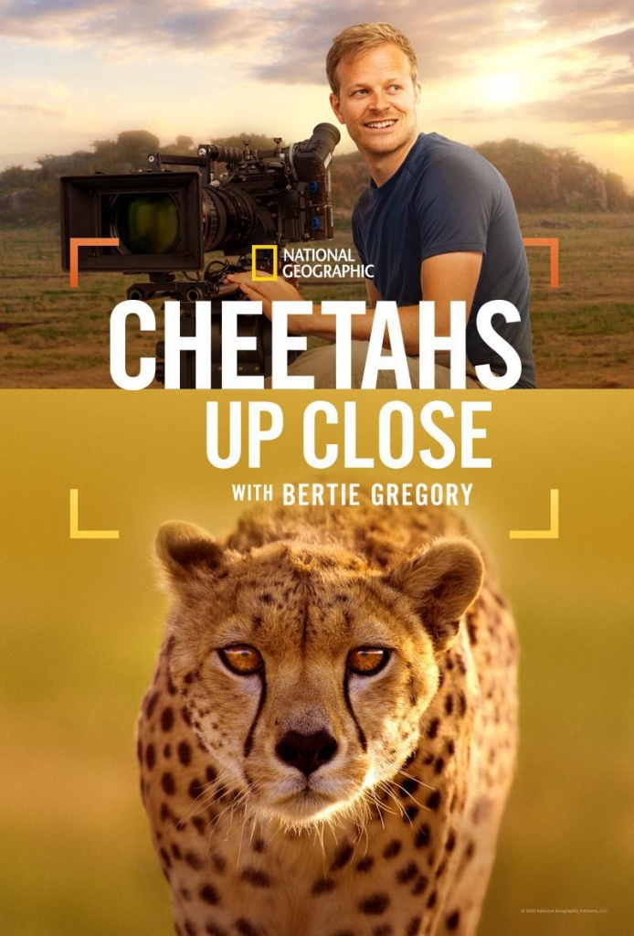 【4K】60帧/杜比视界摄影师贝尔蒂与猎豹零距离 Cheetahs Up Close with Bertie Gregory (2026) 4K 60帧 无删减完整版 原声中字